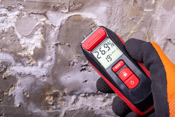 Trusted Peotone, IL Mold Remediation Experts