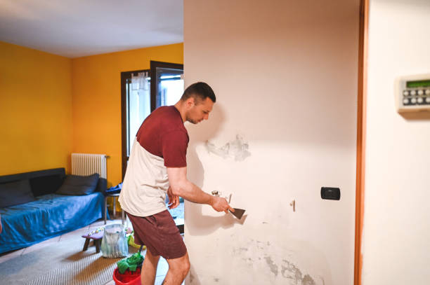 Best Post-Remediation Services in Peotone, IL